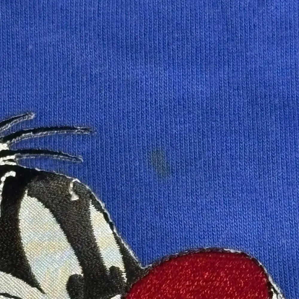 Vintage Classic Looney Tunes Collection Sweatshirt Boys XL Blue Sylvester Tweety